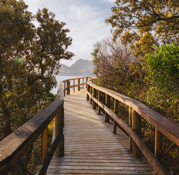 Wood path