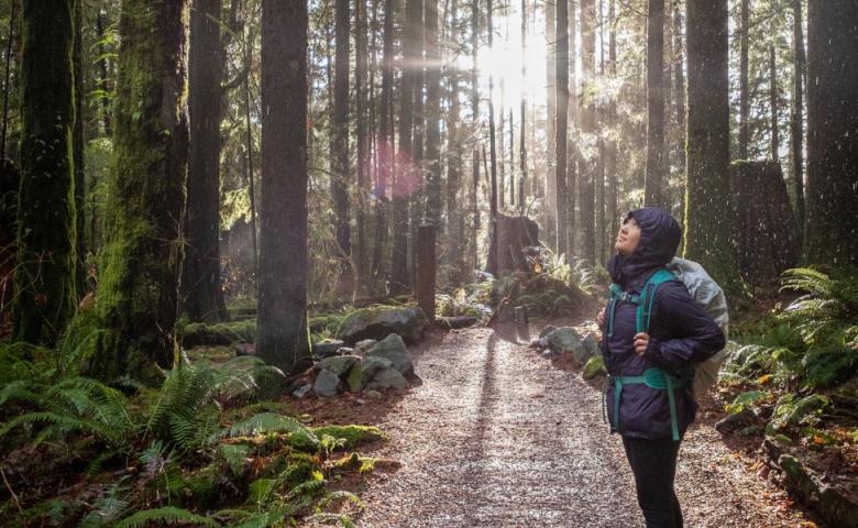 Hiker wearing a rain jacket and backpack stopping to look up into the trees in a lush forest with the sun shining through in the background.