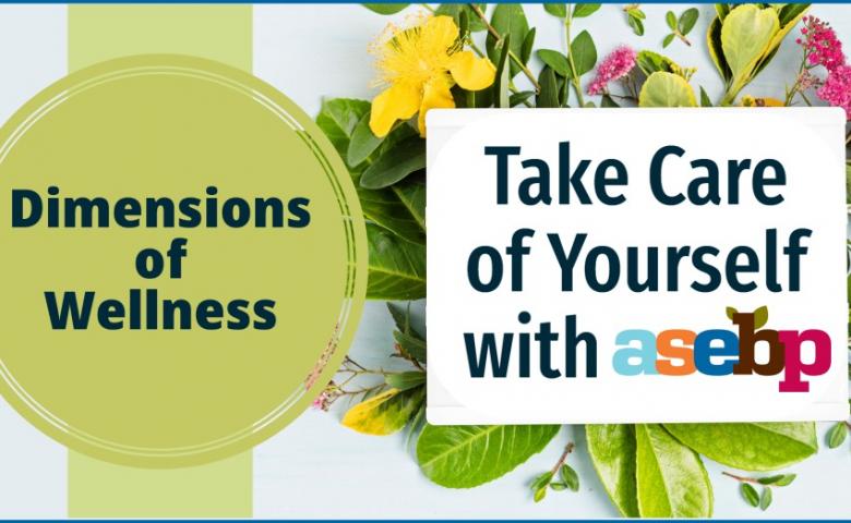 Faux flowers on a pale blue background, with a green vertical banner that reads Dimensions of Wellness. Image also says Take Care of Yourself with ASEBP.