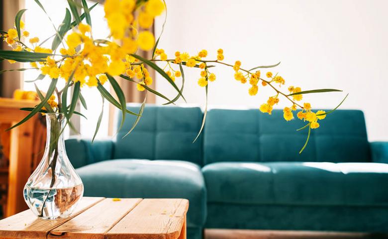 Living room with teal couch and yellow flowers on a wood table in the foreground