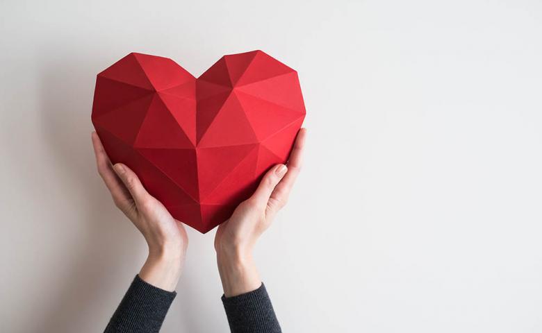 Hands holding paper heart on a white background